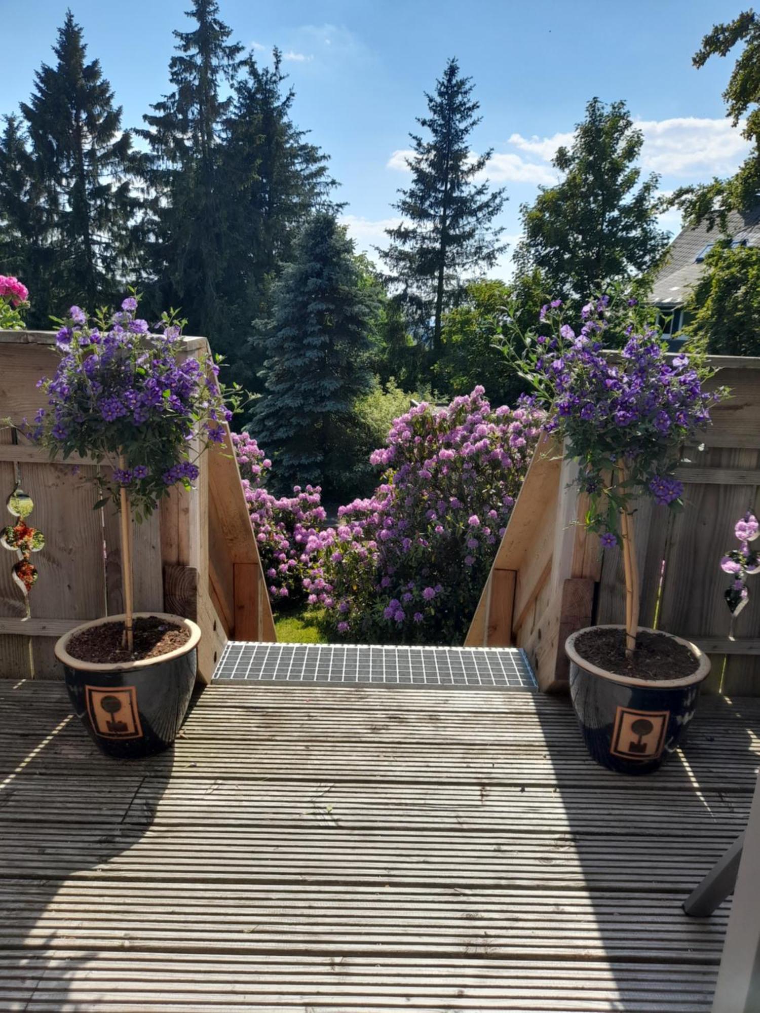 Tante Hanna Winterberg Kültér fotó